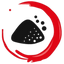 Activated Charcoal