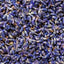Spicy Lavendar