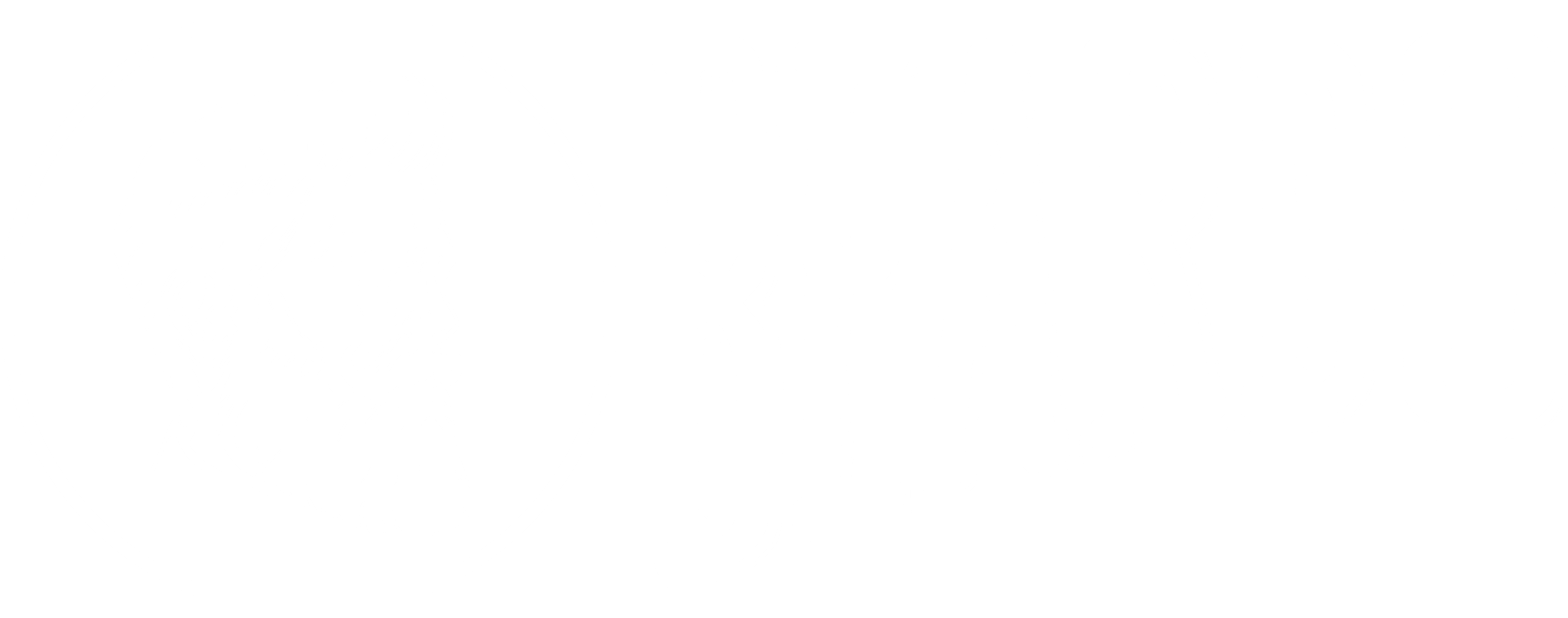 Beardo India