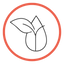 Glutathione