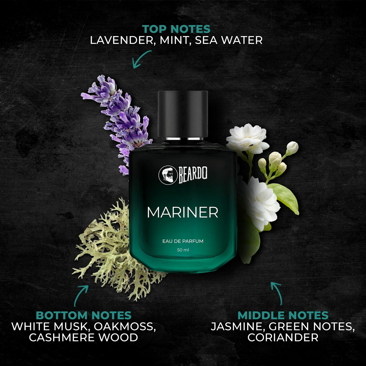 jasmine notes, white musk, cashmere wood, sea water