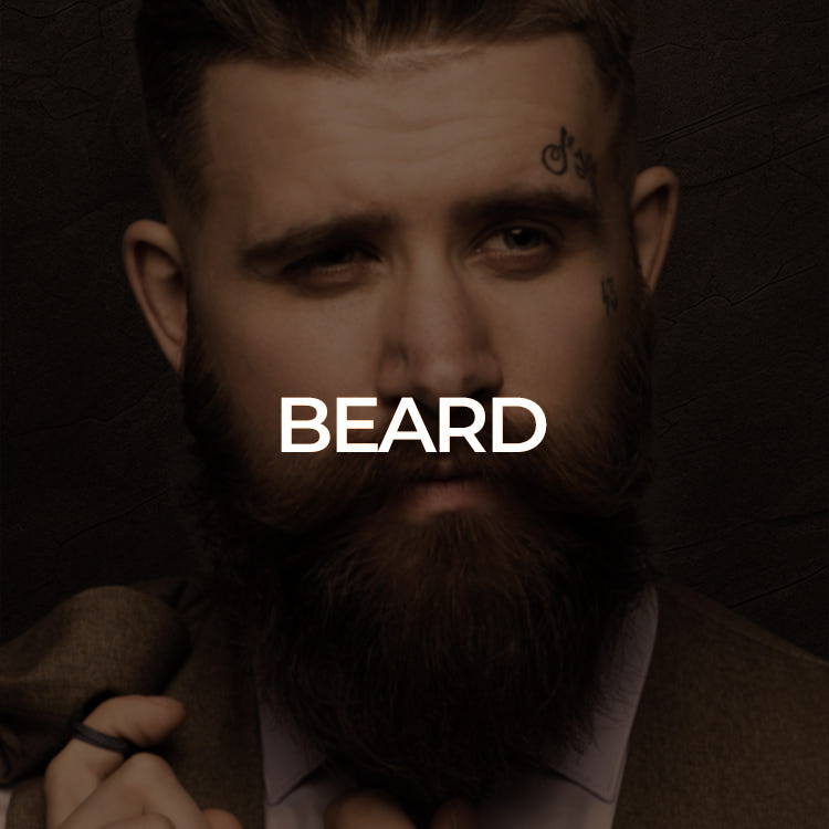 Beard Collection: Best Beard Grooming Products