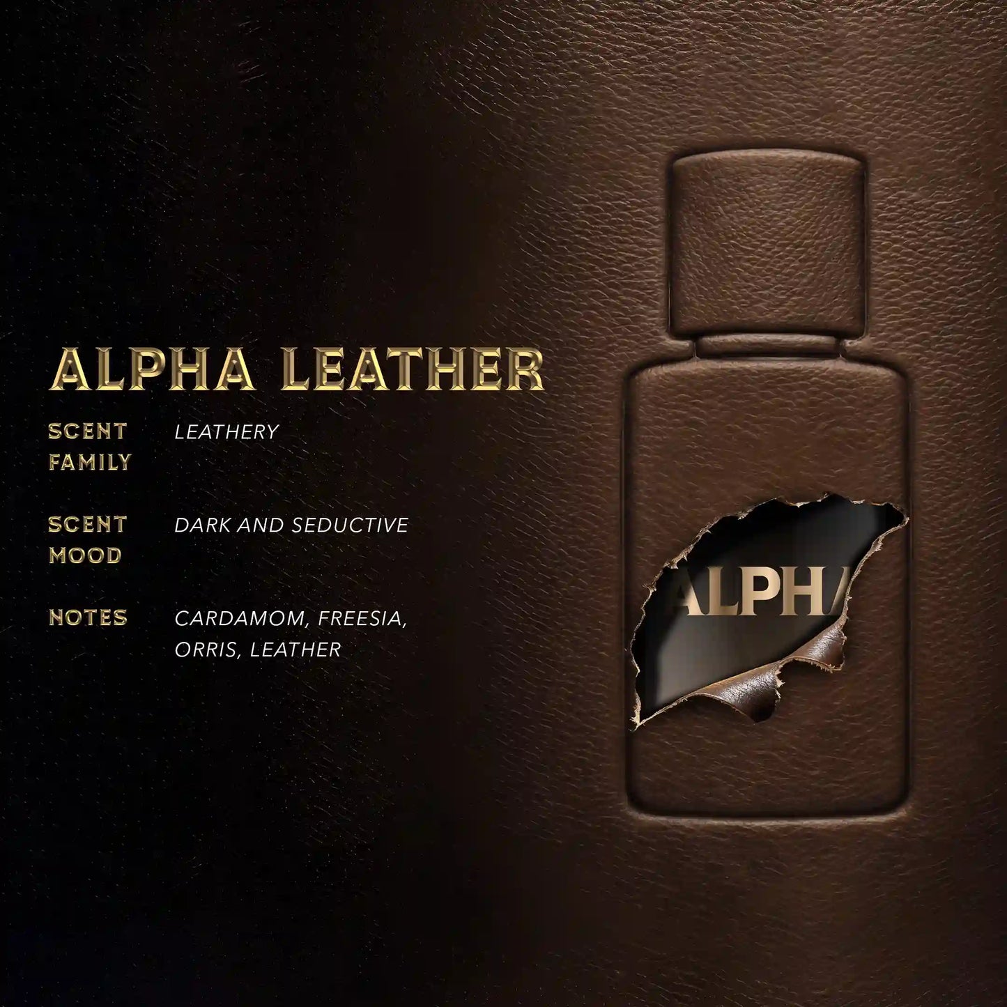 Alpha Leather Elixir (30ml)
