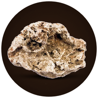 Ambergis