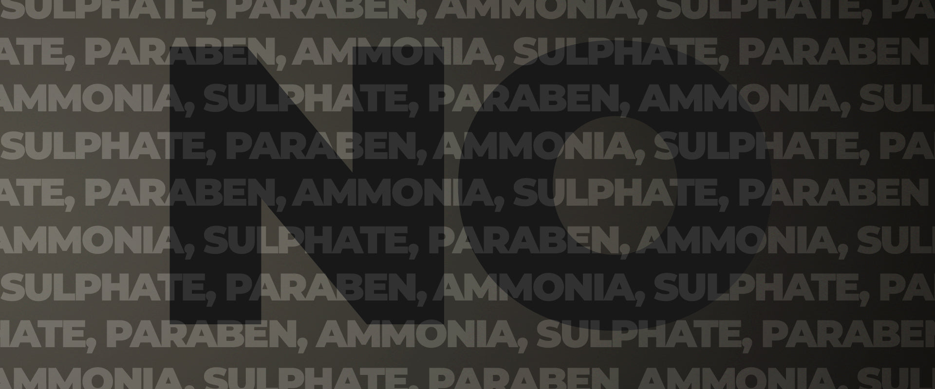 BSP hair color Website Landing Page Banner