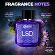 Beardo Hollywood Icon Perfumes Combo (100mlx3) – grooming results and lifestyle