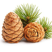 Cedarwood