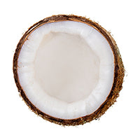 Coconut milk