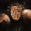 Nutmeg