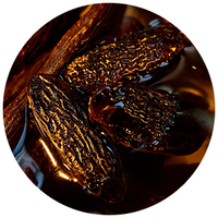 Tonka bean