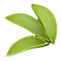 AloeVera